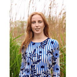 Mansted - Jumper, BL 