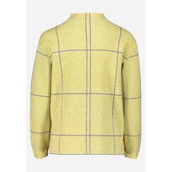 Striktr�je i lysegr�n fra Betty Barclay set bagfra